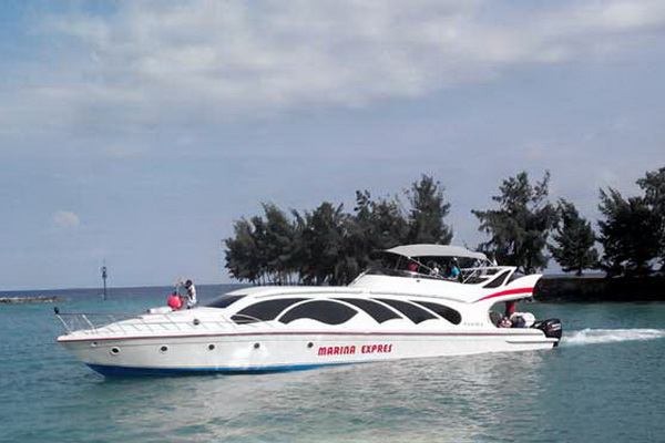 Pulau Harapan